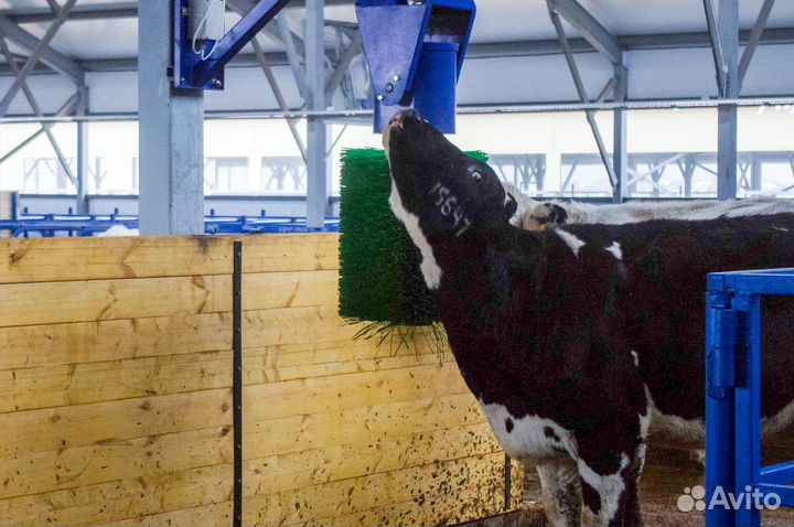 Щетка-чесалка для крс автоматическая New farm