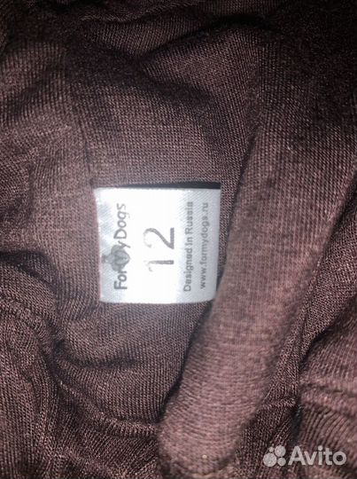 Одежда для собак