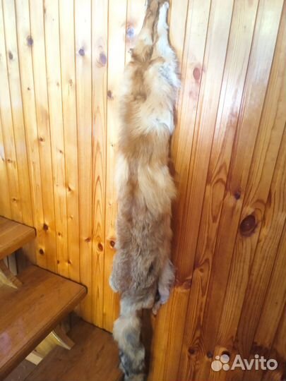 Шкурки лисы и ондатры