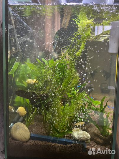 Аквариум