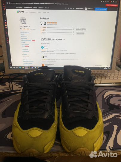 Raf simons ozweego 11us