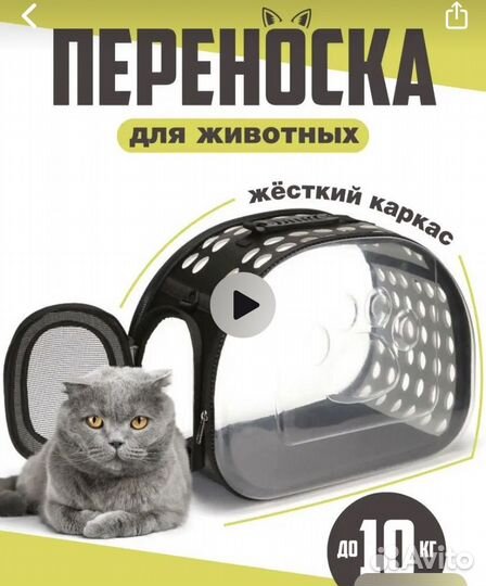 Переноска для животных