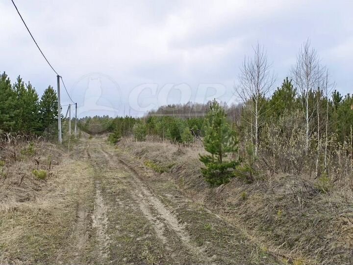 Участок 10 сот. (ИЖС)