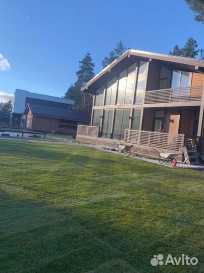 Рулонный газон