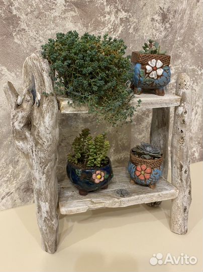 Мини этажерка с суккулентами