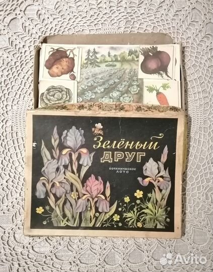 Ботаническое лото Зелёный друг