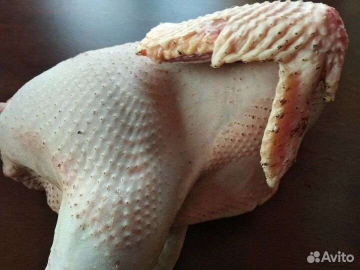 Тушки молодых петушков