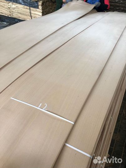 Натуральный шпон Бук