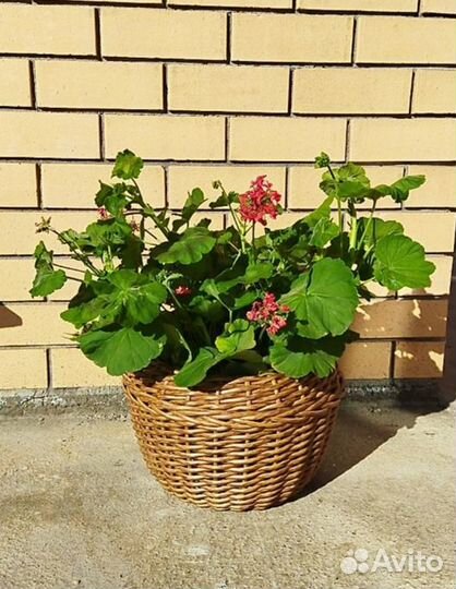 Декоративное кашпо/корзина