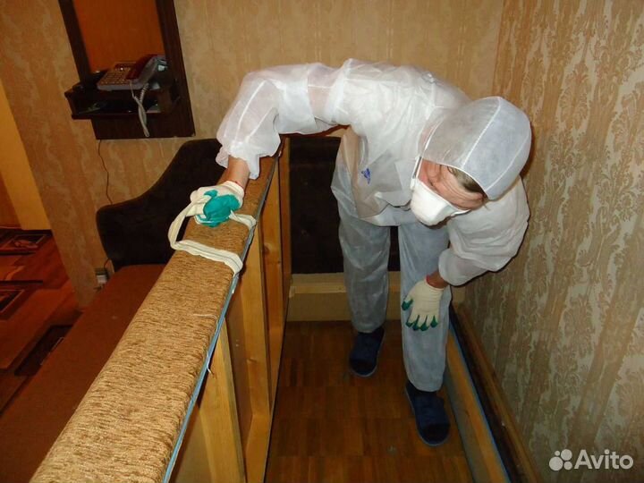 Уничтожение клопов тараканов муравьев насекомых