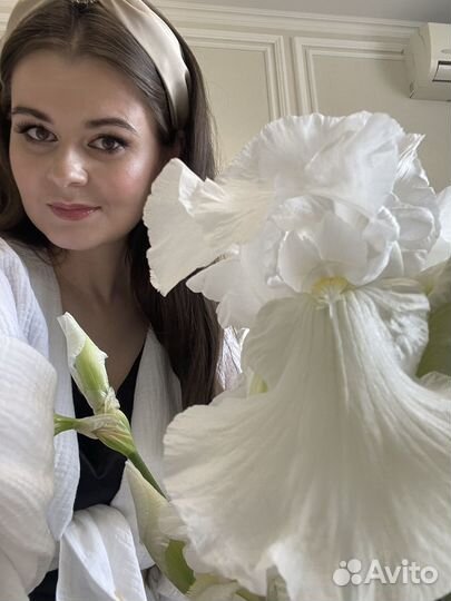 Ирис белый гигант ароматный