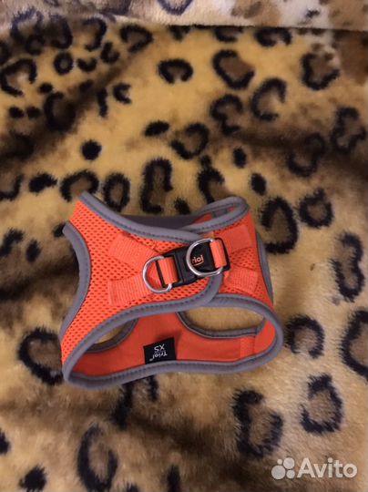 Шлейка для маленькой собаки