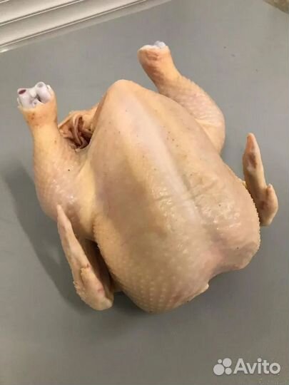 Мясо домашнего бройлера