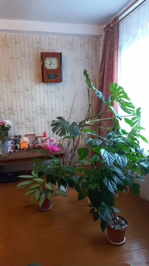 3-к. квартира, 60,2 м², 3/5 эт.