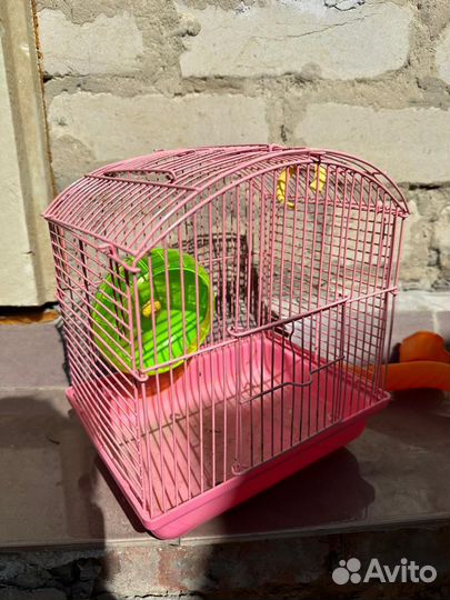 Клетка для птиц