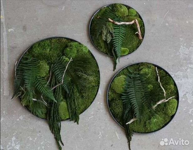 Зелёные картины, панно из мха
