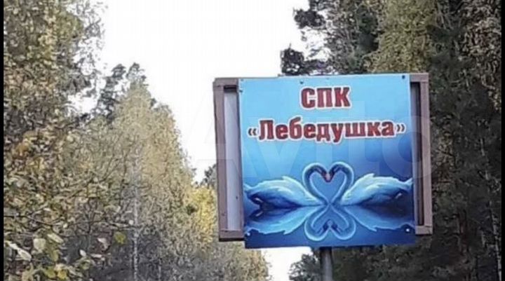 Участок 10 сот. (ИЖС)