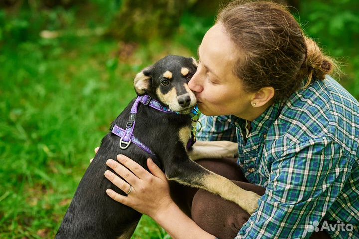 Щенок мальчик Ося в добрые руки