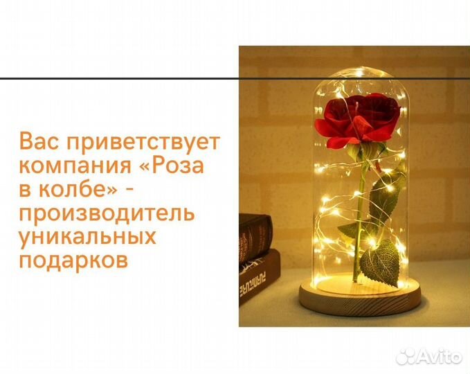 Розы в колбе. Новые