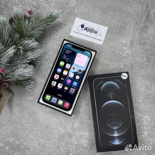 iPhone 12 Pro Max, 256 ГБ