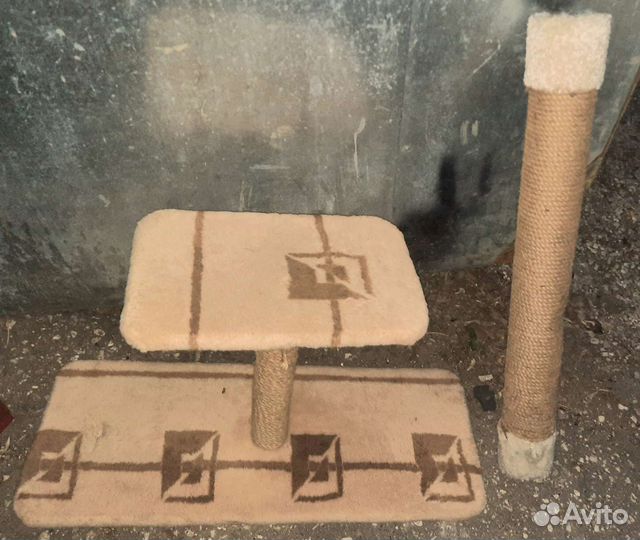 Переноска и туалет для кошки