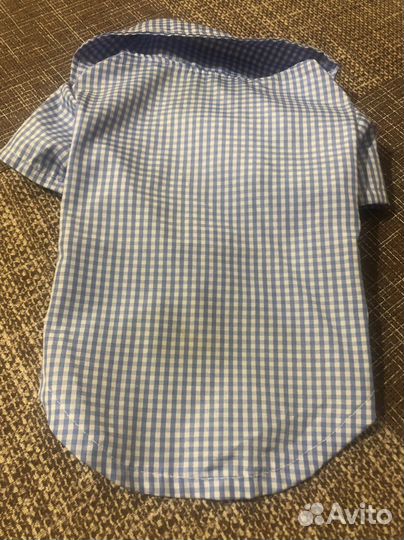 Рубашка для мелких собак