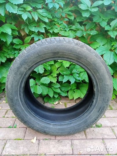 Gislaved NordFrost 100 195/70 R16 91T