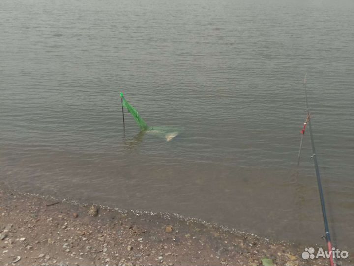 Свежая рыба