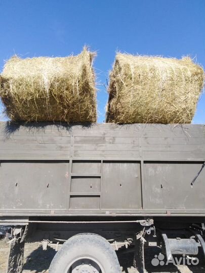 Сено люцерна+луговое, солома