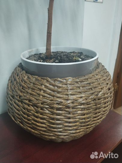 Кашпо из ротанга 12 литров