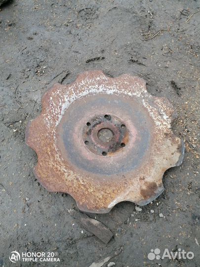 Ромашки дискатора