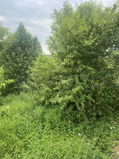 Дом 50 м² на участке 11 сот.