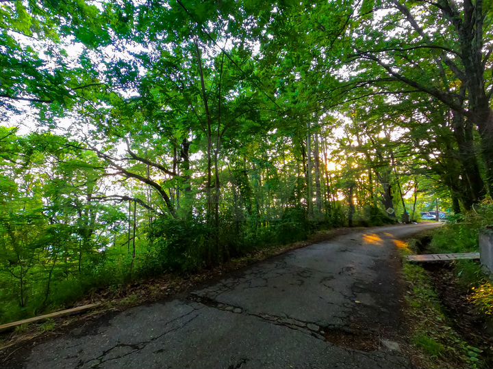 Участок 40 сот. (ИЖС)