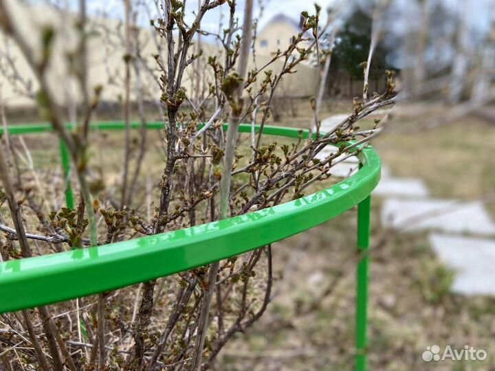 Кустодержатель Найди для смородины и крыжовника