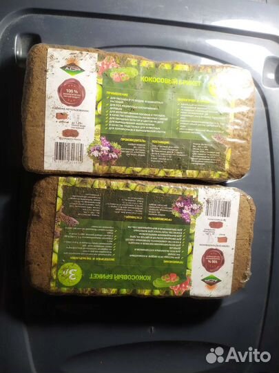 Улитки ахатины большие