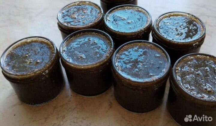 Медогон паразитарный