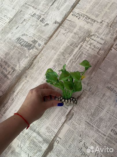 Декорации для аквариума