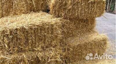 Сено солома в тюках