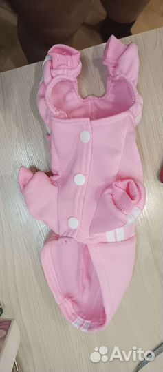 Одежда для собак мелких пород