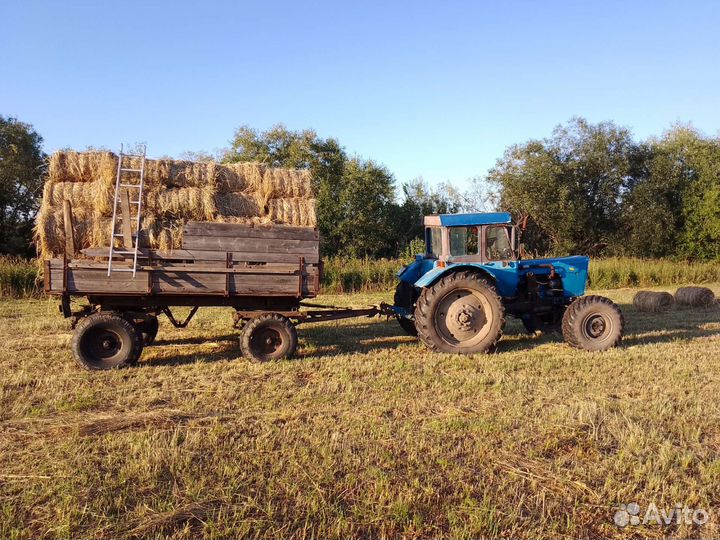 Продам сено в рулонах