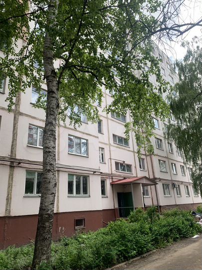 2-к. квартира, 52,8 м², 5/9 эт.