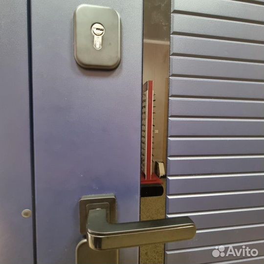 Металлическая дверь по индивидуальным размерам