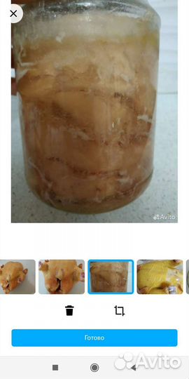 Домашние курочки