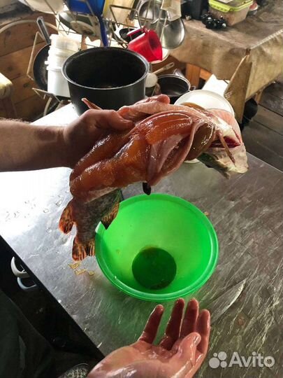 Отдых рыбалка охота