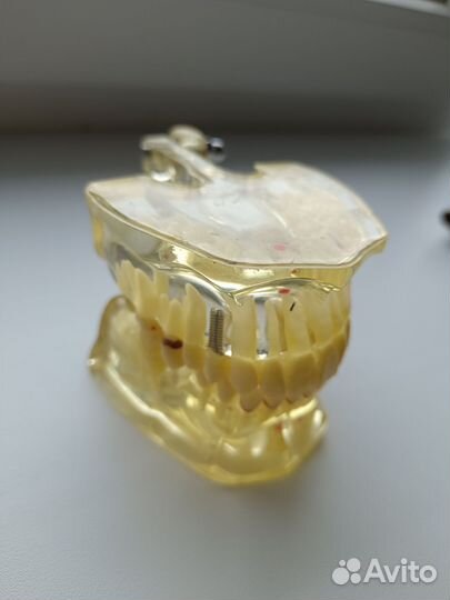 Стоматология