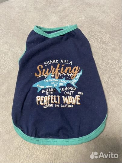 Одежда для собак