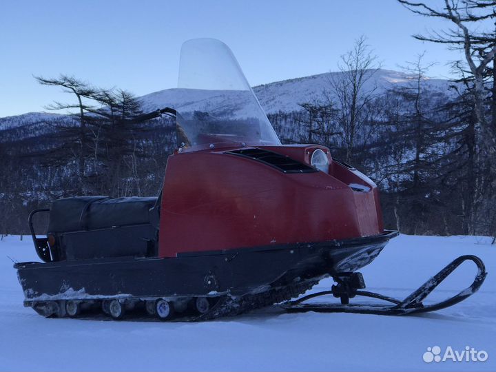 Буран (барс)