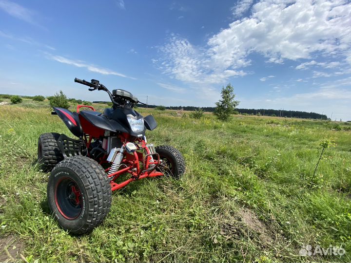 Irbis 250S