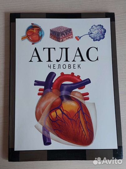 Пособия для подготовки к егэ химия/биология/рус