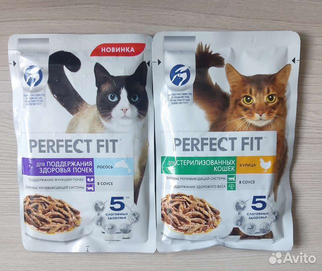 Влажный корм для кошек